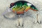 JLVLures Shallow Crankbait Metallic Perch : Diver Lures JLV Freshwater Smallmouth Steelhead Pike Salmon Trout Perch Whiper Mid Depth Walleye Casting Bass Hook Treble Bronze Boat Dock Brook Bay Little Stump River Trolling Weed Surface Topwater Shad