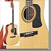 Washburn D10s Exotic acoustic guitar (Natural finish)