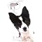 Great Dog Fiction for 3rd and 4th Graders