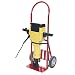 Bosch 11304K Brute 15 Amp 1-1/8 collared Hex-Breaker Hammer with Cart