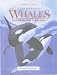 A Visual Introduction to Whales (Animal Watch)