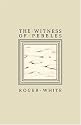 The Witness of Pebbles: Poems and Portrayals