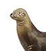 Safari Ltd. Sea Lion Figurine - Detailed 3.1