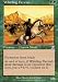 Whirling Dervish Foil