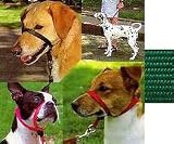 Gentle Leader Head Collar - Large - Green