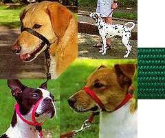 Gentle Leader Head Collar - Large - Green