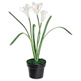 Baumgartens Artificial White Iris In A Black Ceramic Pot 14in Overall Heigh ....
