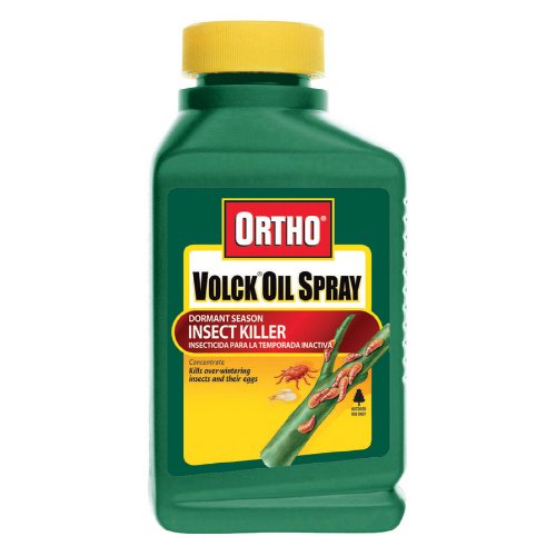 Ortho Volck Oil Spray Concentrate - Pint 0168160
