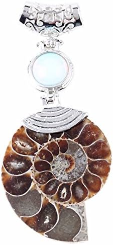 Luostdo9090 Natural Ammonite Fossil Stone Gemstone Bead Charms Pendant Jewelry(Ammonite Fossil w Opalite)
