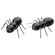 Thrill of the Grill Salt and Pepper Shaker Set