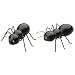 Thrill of the Grill Salt and Pepper Shaker Set