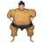 Sumo Wrestler Inflatable Fancy Dress Costume