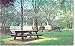 Appomattox Court House Memorial Bridge Postcard