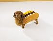 Dog Costume - Hot Diggity Dog Halloween Costume (Hot Dog w/Mustard) - Small