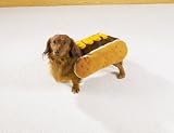 Dog Costume - Hot Diggity Dog Halloween Costume (Hot Dog w/Mustard) - Small