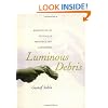 Luminous Debris: Reflecting on Vestige in Provence and Languedoc