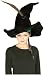 Harry Potter McGonagall's Hat with Feather