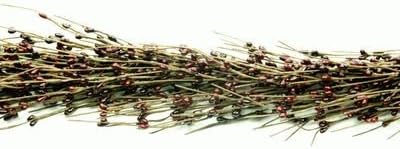 Gorgeous Primitive BURGUNDY 55" Pip Rice Berry GARLAND Flexible & Bendable