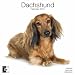 dachshund37 - Dachshund 2010 Wall Calendar