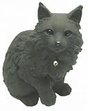 ちゃこぺっと ノルウェージャンフォレスト R24の画像