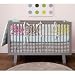 DwellStudio Charlotte Multi 4-Piece Baby Crib Bedding Set