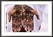 Person Displaying Henna Hand Tattoos, Djibouti, Djibouti Collections Framed Photographic Poster Print by Frances Linzee Gordon, 36x26