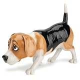 Pets With Personality - Bugles The Beagle
