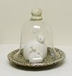 Glass Dome Bell Jar Cloche Terrarium with Daisy Glazed Ceramic Base