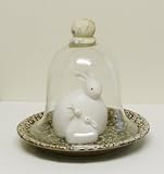 Glass Dome Bell Jar Cloche Terrarium with Daisy Glazed Ceramic Base
