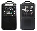 Cavs Dvd-305g USB Karaoke System w/ Built in Speaker & 2 Microphones