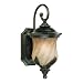 Outdoor Living : Westinghouse 69511 Byberry One-Light Exterior Wall Lantern, Marbleized Bronze Finish with Champagne Mist Globe