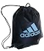 adidas Women's Santiago IV Reversible Sackpack
