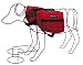 41TJ1NGME7L. SL75  Small Dog Backpacks