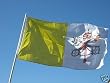 Vatican City Flag 3 x 5 Brand NEW 3x5 Catholic Church