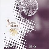 V1 A Journey Into Ambient Groo