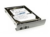 Axiom - Hard drive - 80 GB - internal - EIDE