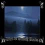 In The Ruins, No Light Shall Shine
