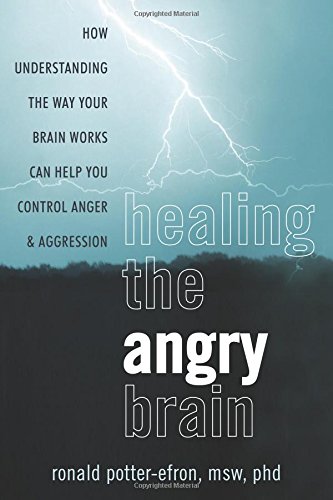 Healing the Angry Brain: How Understanding the Way Your Brain Works Can Help You Control Anger and Aggression, by Ronald Potter-Efron MSW