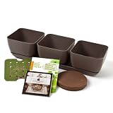 Simple Garden Junior SGJR-3PC-MOC Oregano, Basil and Cilantro Herb Garden Kit, Mocha