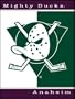 NHL Anaheim Mighty Ducks All Star Throw Blanket