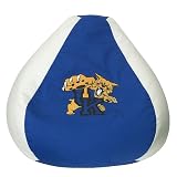 University of Kentucky Beanbag