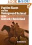 Fugitive Slaves and the Underground Railroad in the Kentucky Borderland