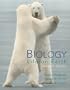 Biology: Life on Earth (7th Edition)