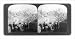 Historic Print (L): A scene of desolation : Ottajano [i.e., Ottaviano], swept by volcanic ashes from Vesuviu