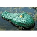Water Pond Decor