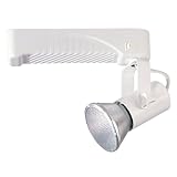 IMAGE OF Nora NTM-6430/35S - Silver - Lamp Holder and Gimbal - Operates 39 Watt PAR30L Metal Halide - Compatible with Halo Track - Built-In Electronic Ballast