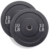 Wright 10 Lb Solid Rubber Bumper Weights