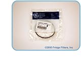 GE SmartWater Filter O-Ring (WS03X10001)