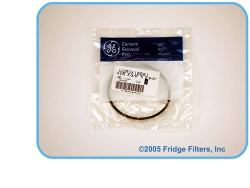 GE SmartWater Filter O-Ring (WS03X10001)