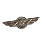 787 Dreamliner Wings Pin